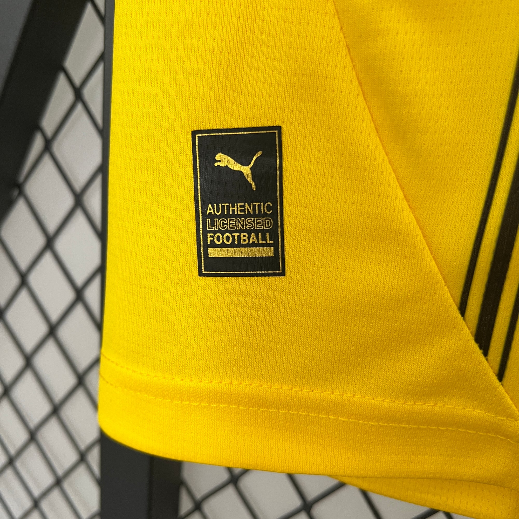 Borussia Dortmund Jersey 2024/25 -(Custom Name & Number)