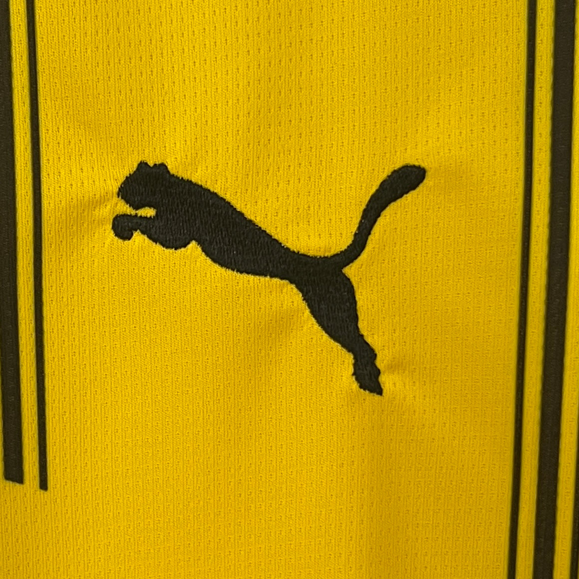 Borussia Dortmund Jersey 2024/25 -(Custom Name & Number)