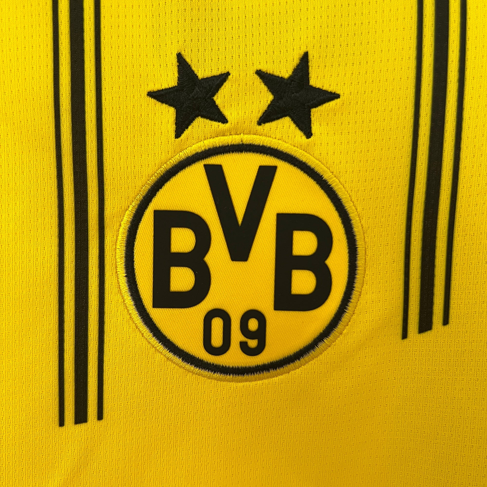 Borussia Dortmund Jersey 2024/25 -(Custom Name & Number)