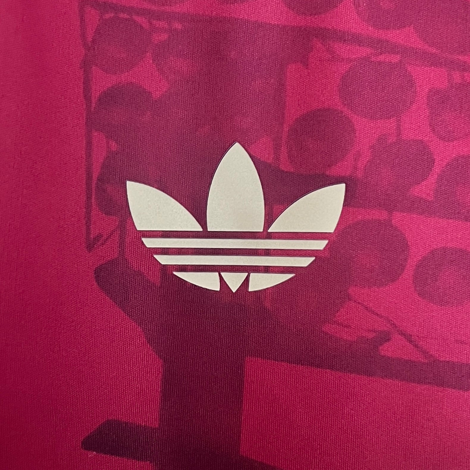 2024/25 Bayern Munich Special Edition