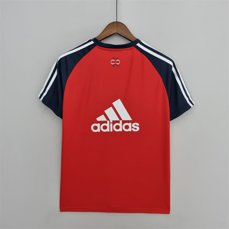 FC Bayern München Jersey 2022/23-(Custom Name & Number)