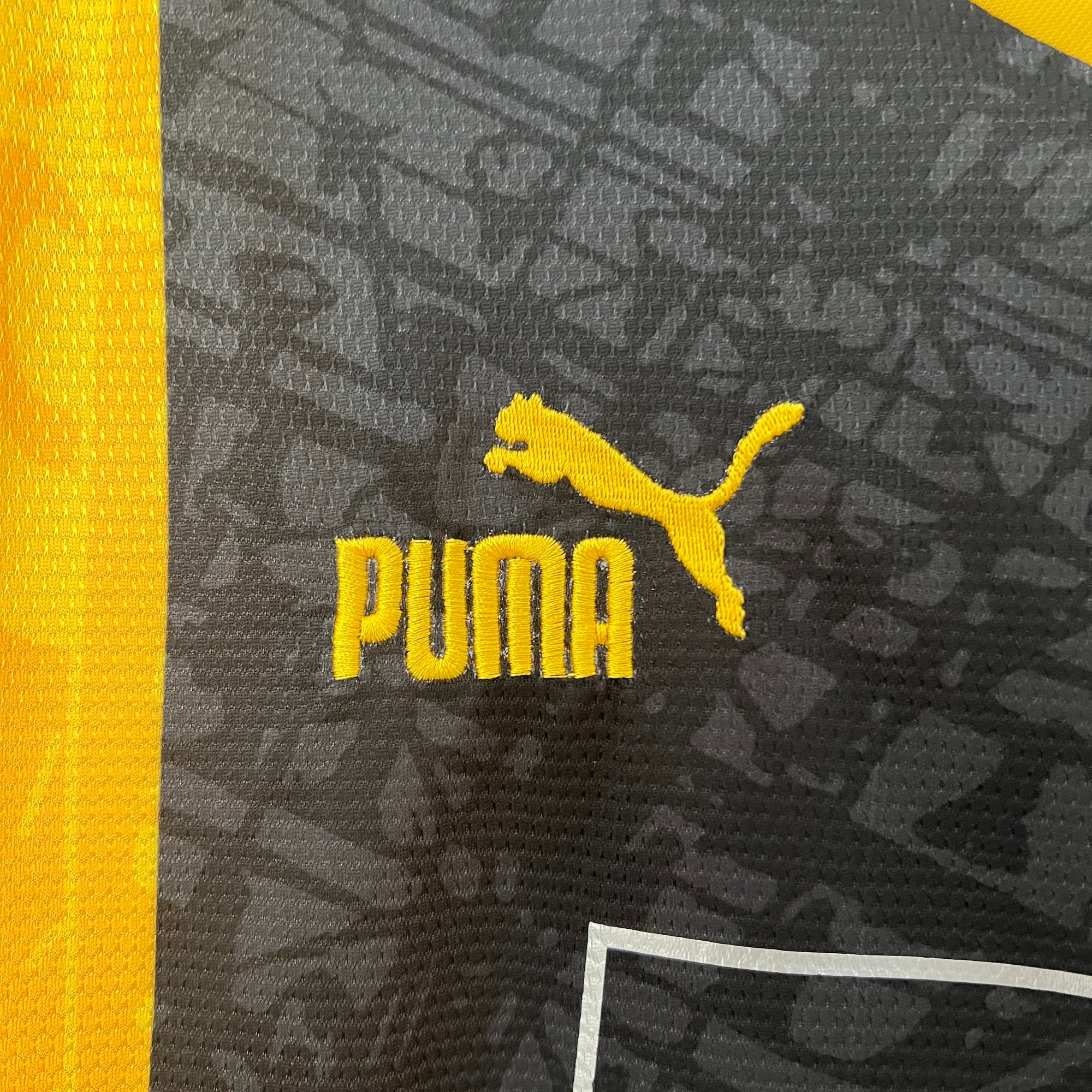 2024/25 Dortmund Special Edition