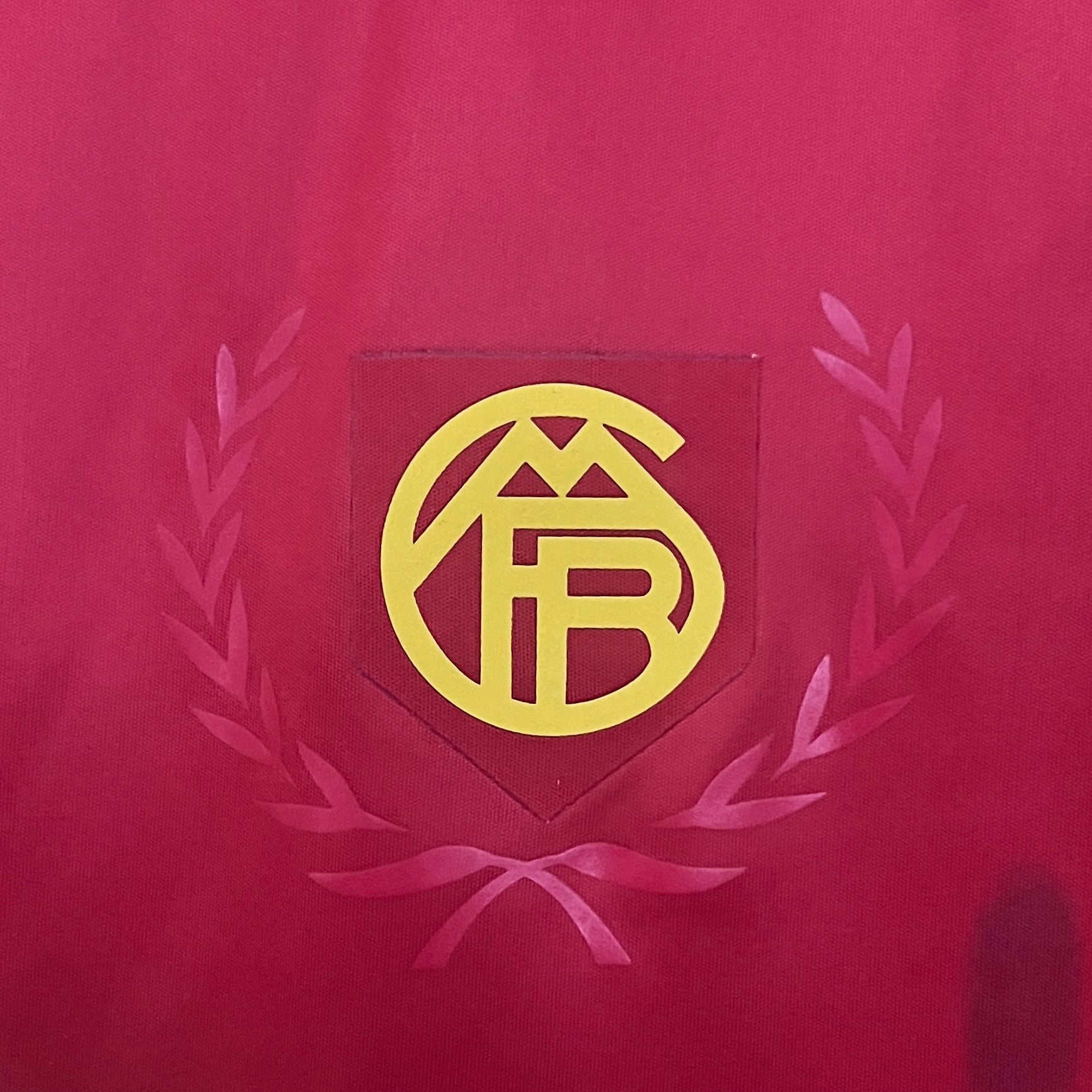 2024/25 Bayern Munich Special Edition
