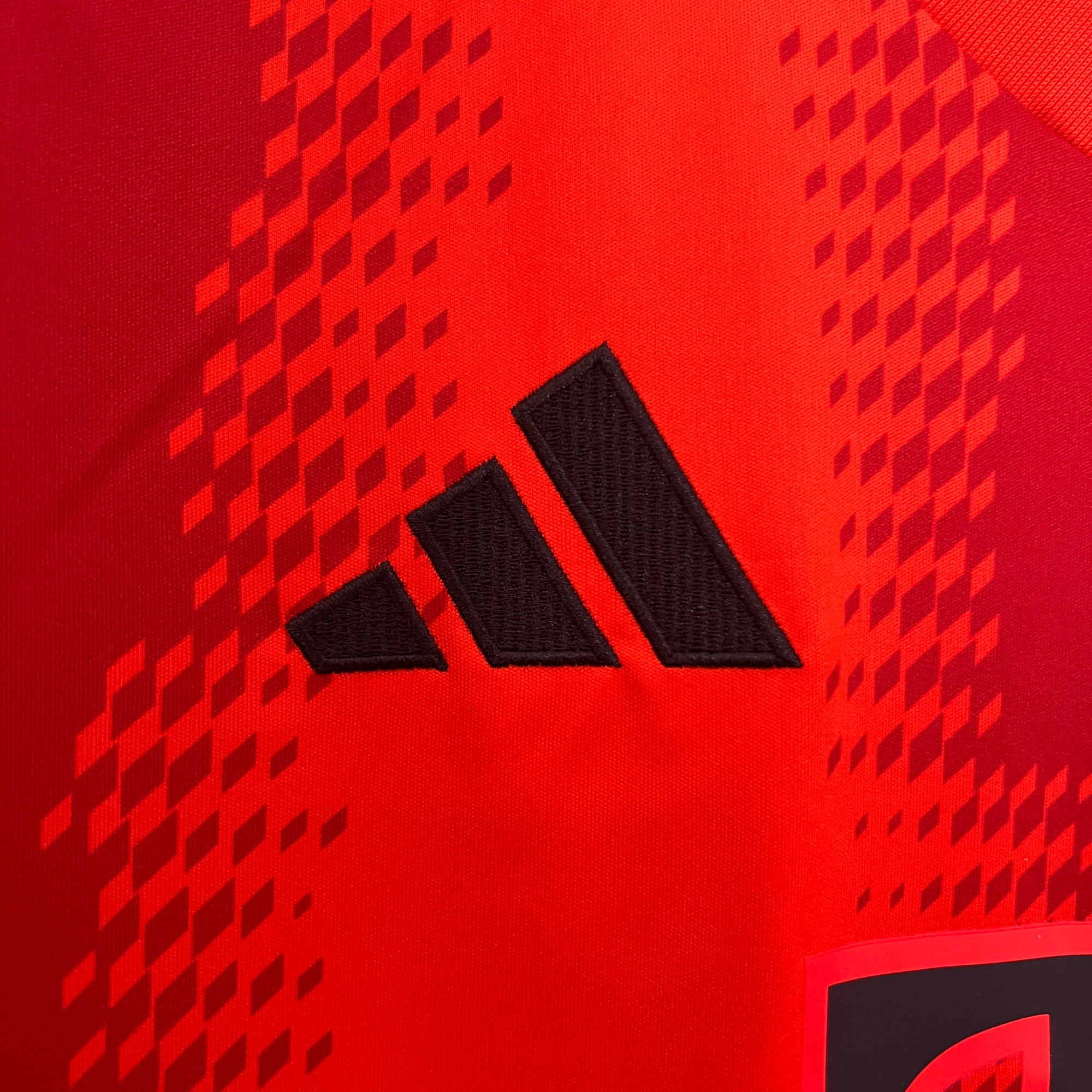 FC Bayern München Jersey 2024/25-(Custom Name & Number)