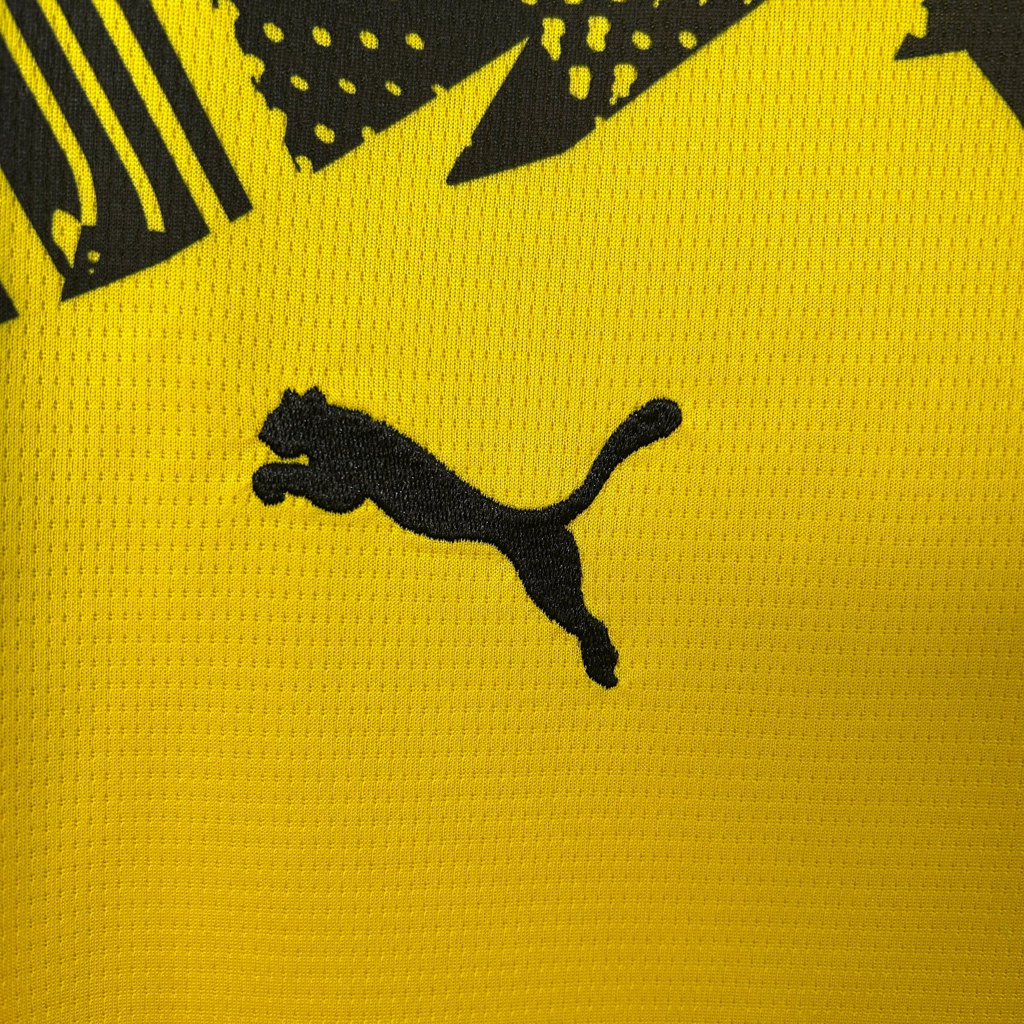 Borussia Dortmund Jersey 2025/26 -(Custom Name & Number)
