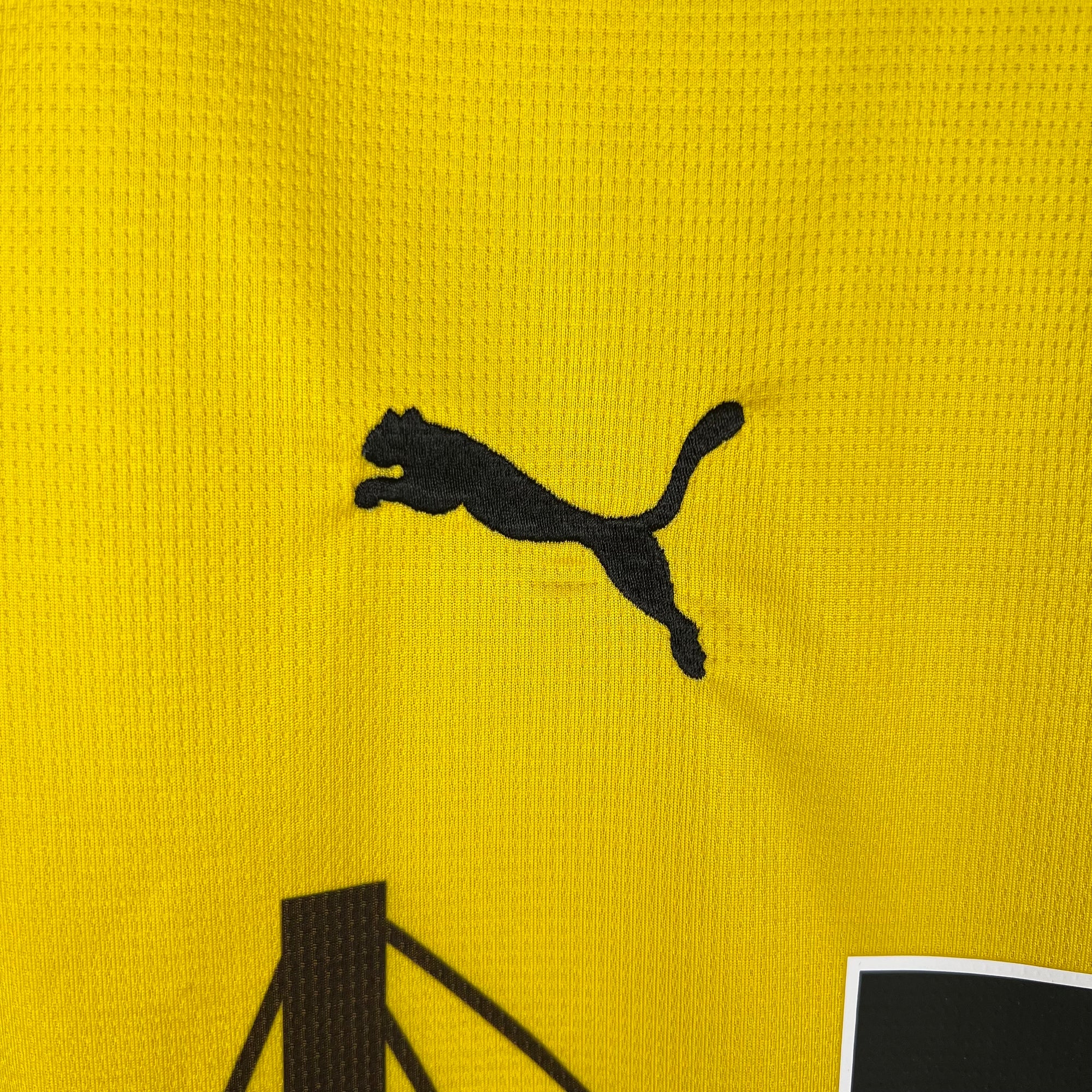 Borussia Dortmund Jersey 2023/24 -(Custom Name & Number)