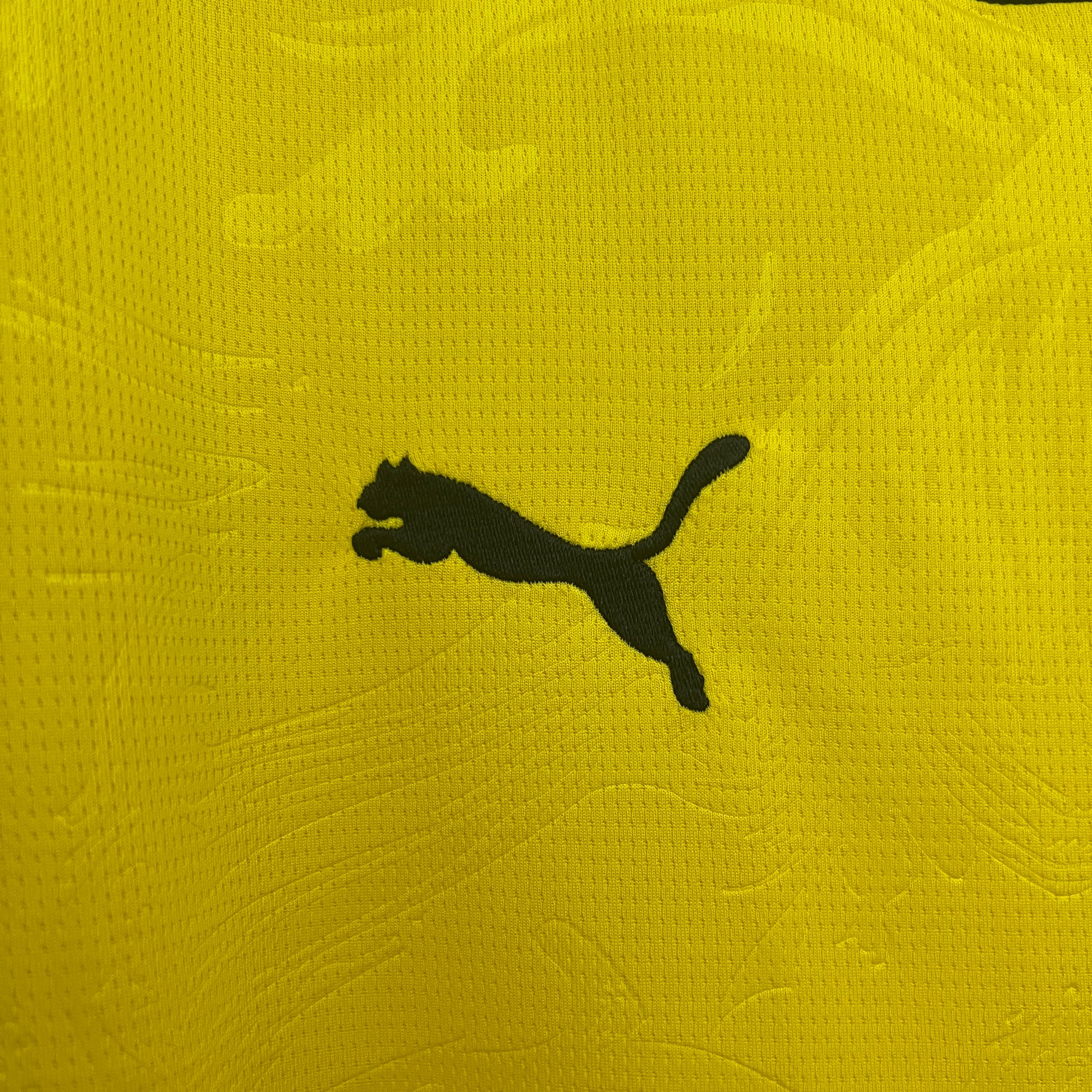 Borussia Dortmund Jersey 2025/26 -(Custom Name & Number)