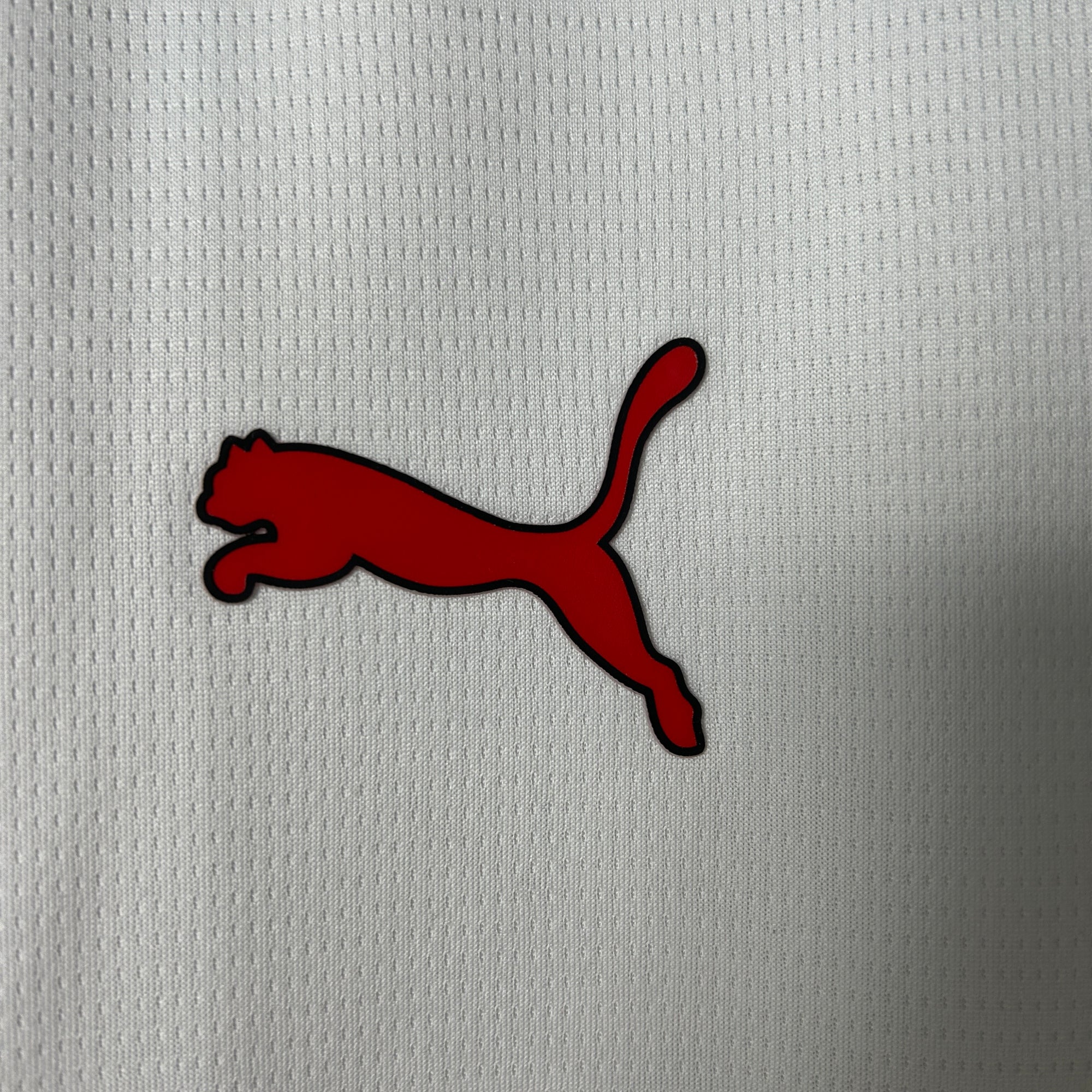 AC Milan Jersey 2025/26 -(Custom Name & Number)