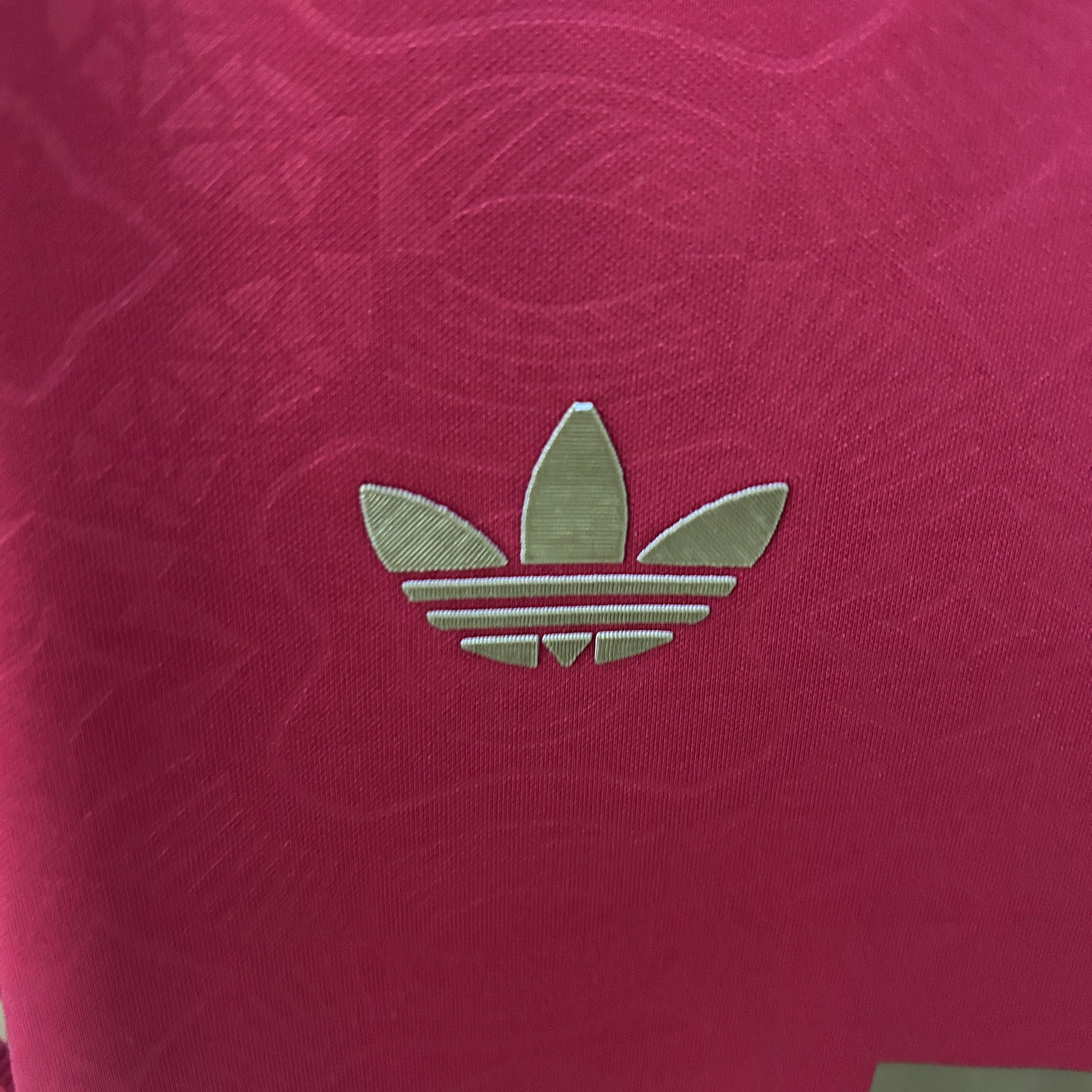 2025/26 Bayern Munich 125th Anniversary Jersey