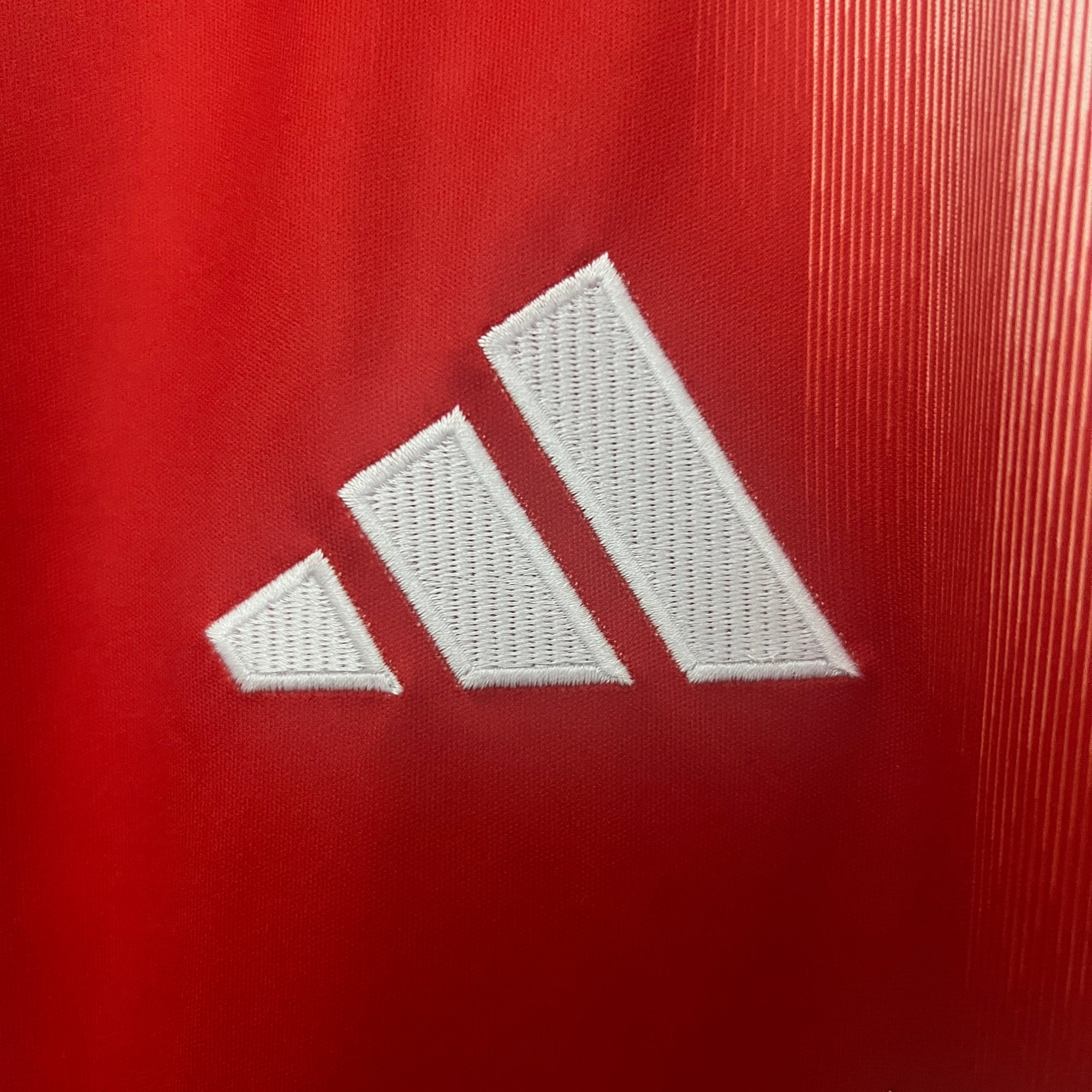 FC Bayern München Jersey 2025/26-(Custom Name & Number)