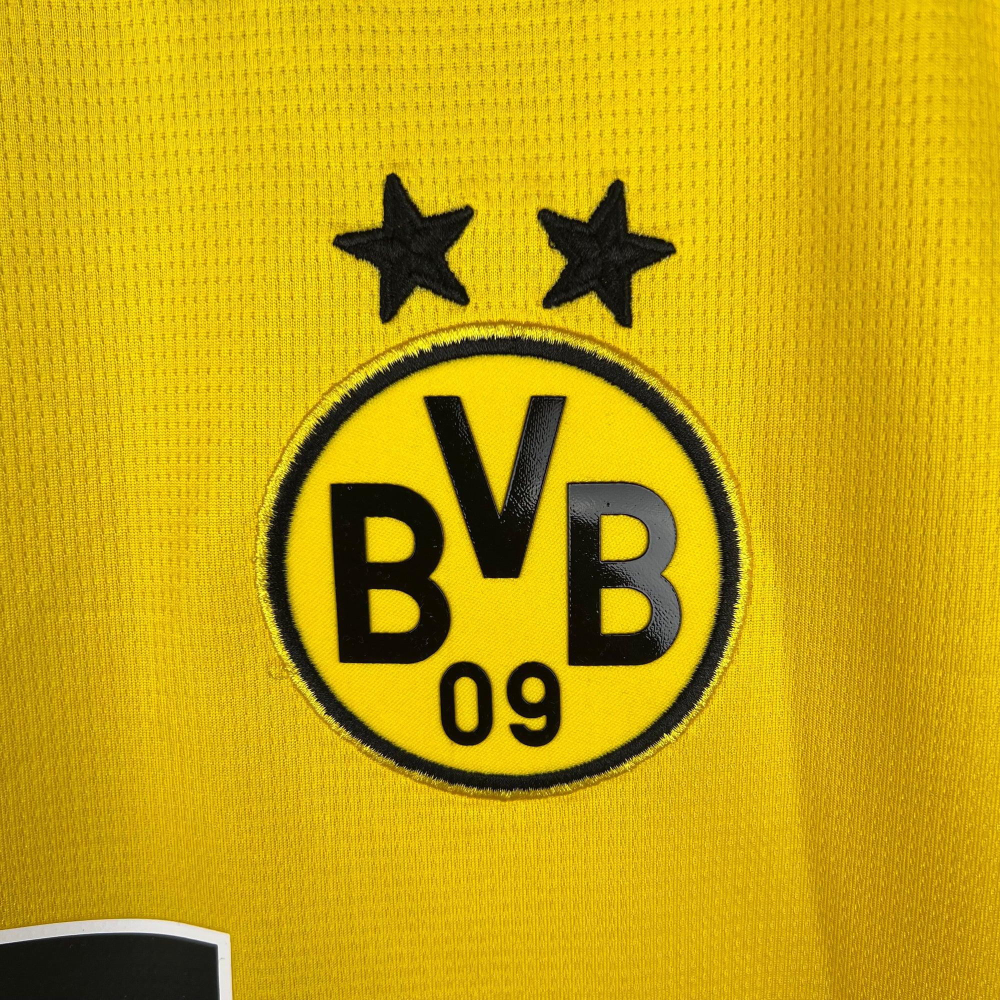 Borussia Dortmund Jersey 2023/24 -(Custom Name & Number)