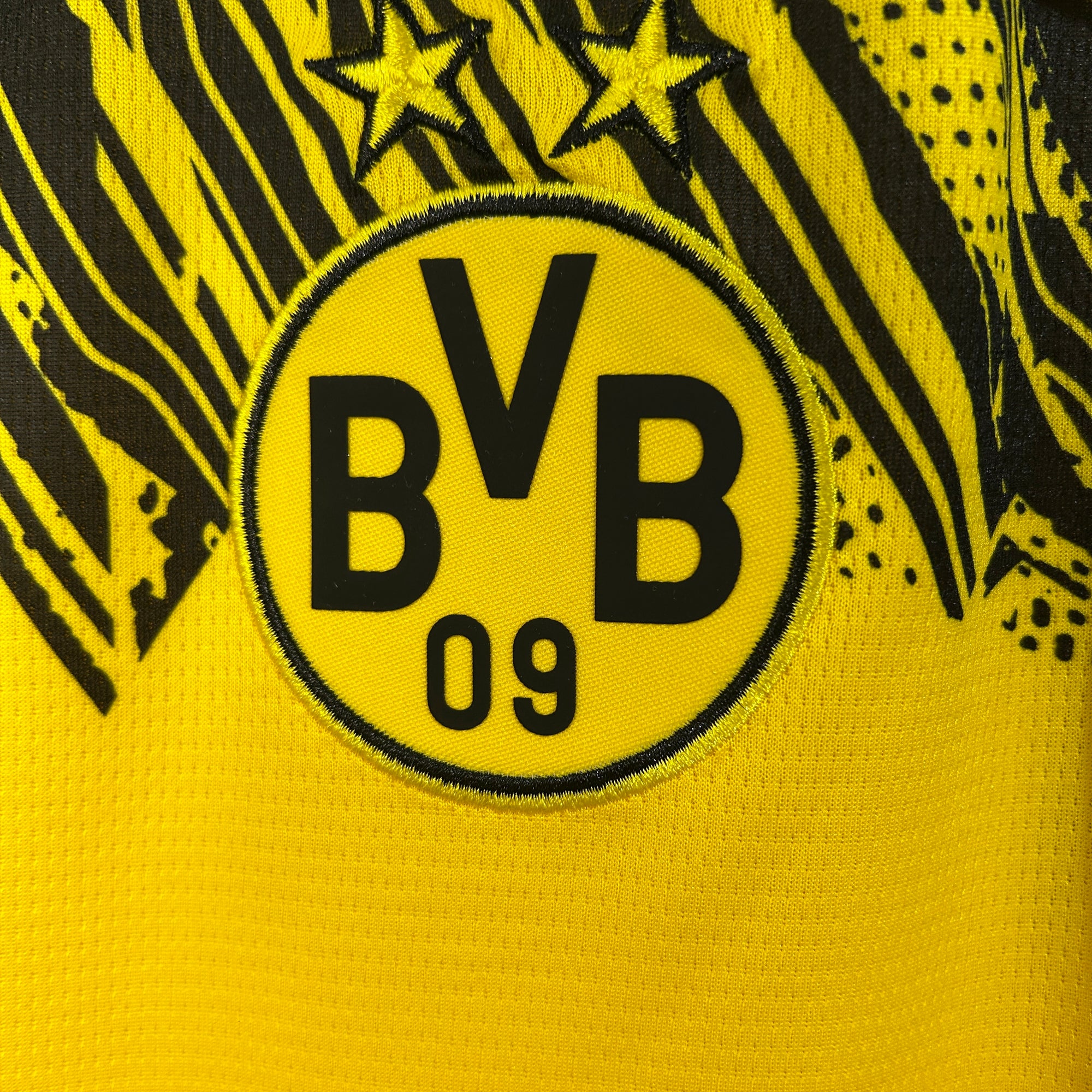 Borussia Dortmund Jersey 2025/26 -(Custom Name & Number)